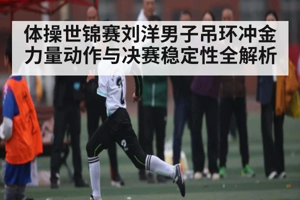 体操世锦赛刘洋男子吊环冲金力量动作与决赛稳定性全解析